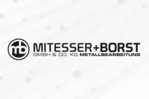 Logoredesign Mitesser + Borst