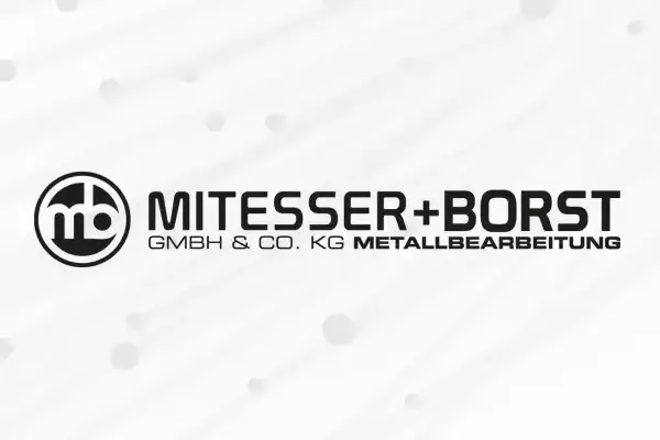 Mehr über den Artikel erfahren Mitesser + Borst GmbH